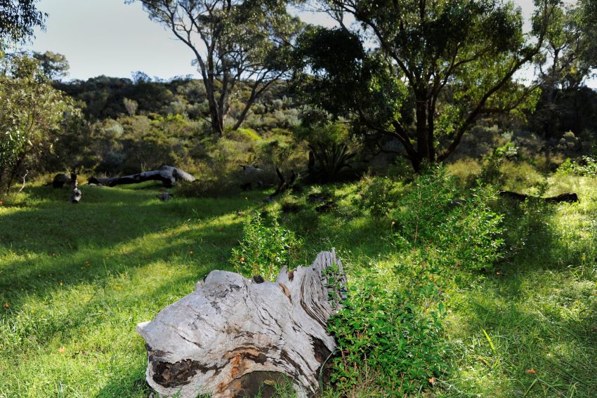 Natural Burial Pinnaroo