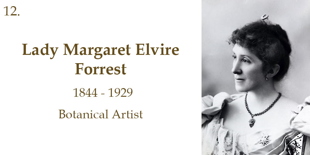 Lady Margaret Elvire Forrest, 1844 to 1929, Botanical Artist
