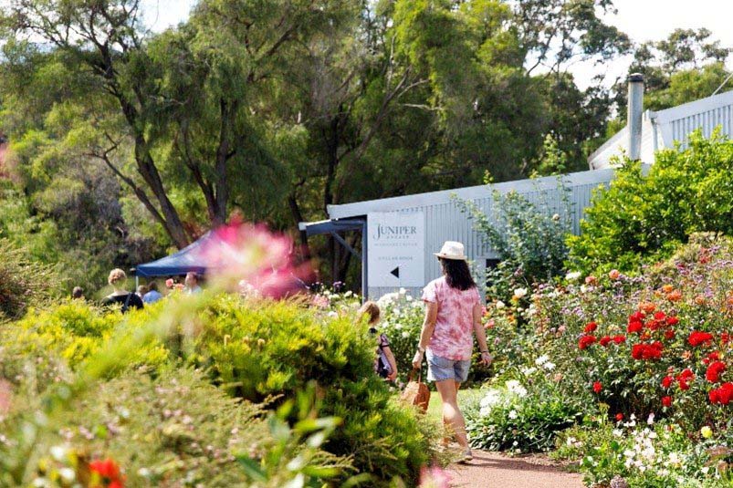 Woman walking through garden at Juniper sustainable winemaking facility