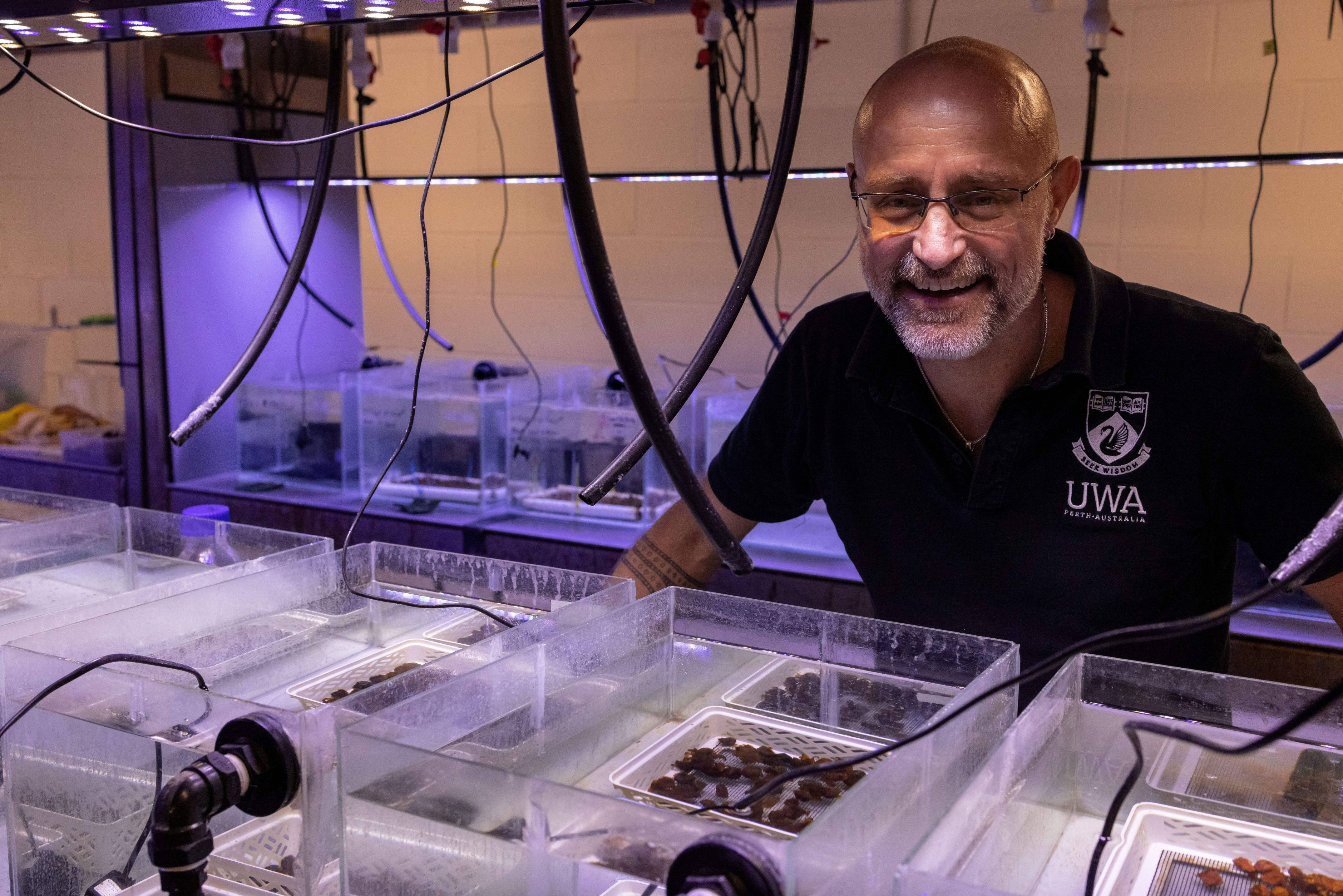 psa finalist thomas wernberg in his lab looking over samples
