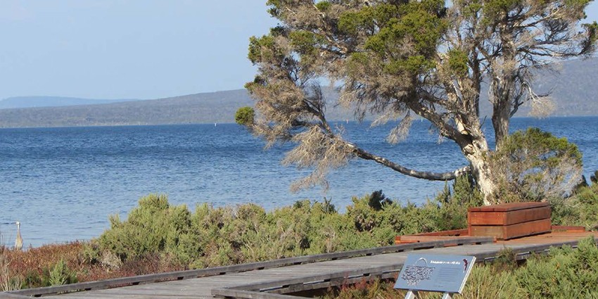 Aboriginal heritage site with bushland and lake