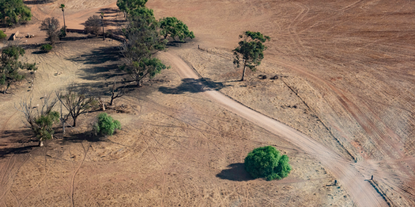 Drought resposne aerial