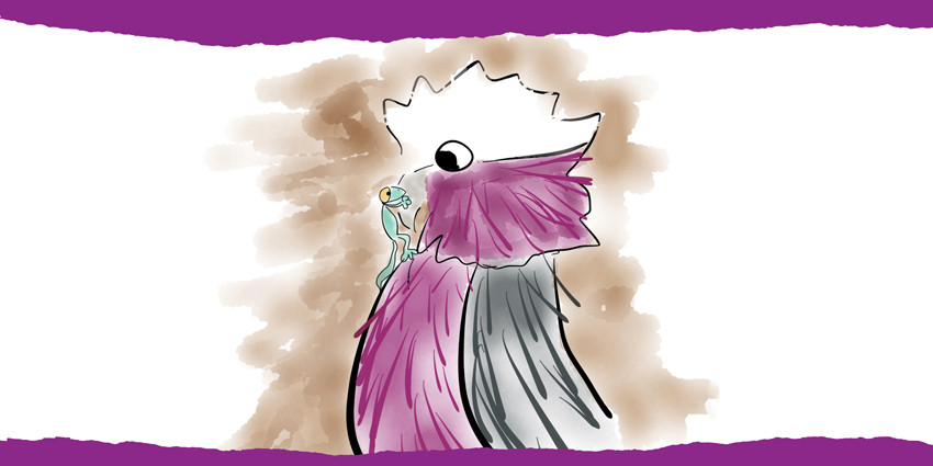 Colourful hand-drawn illustration of Gracie the Galah