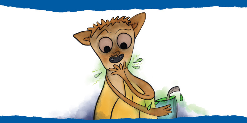Colourful hand-drawn illustration of Demetrius the fruit bat