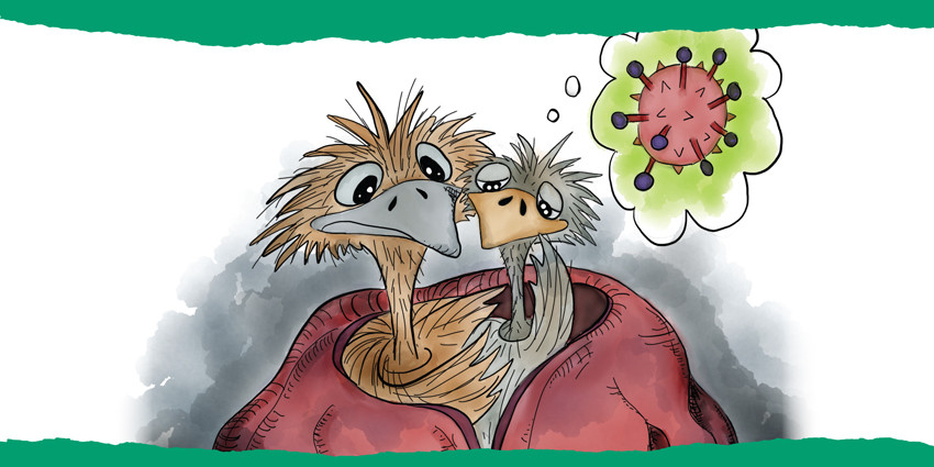 Colourful hand-drawn illustration of Oscar the Emu