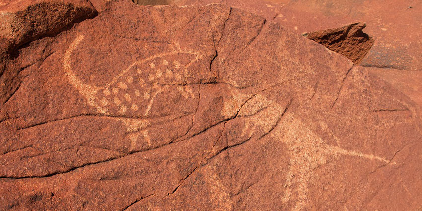 Quoll rock art