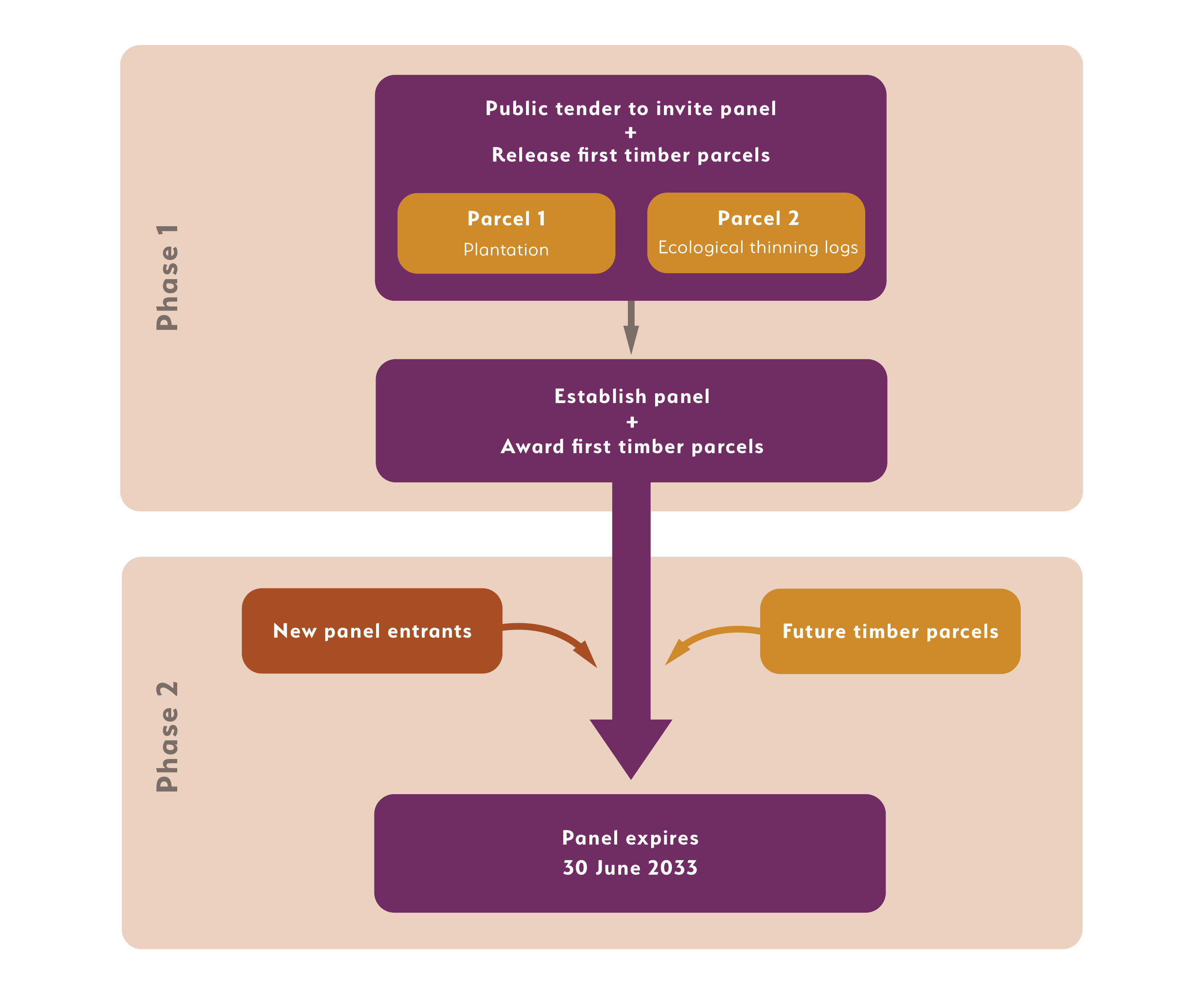 Flowchart diagram explaining how the tender process and panel establishment will run