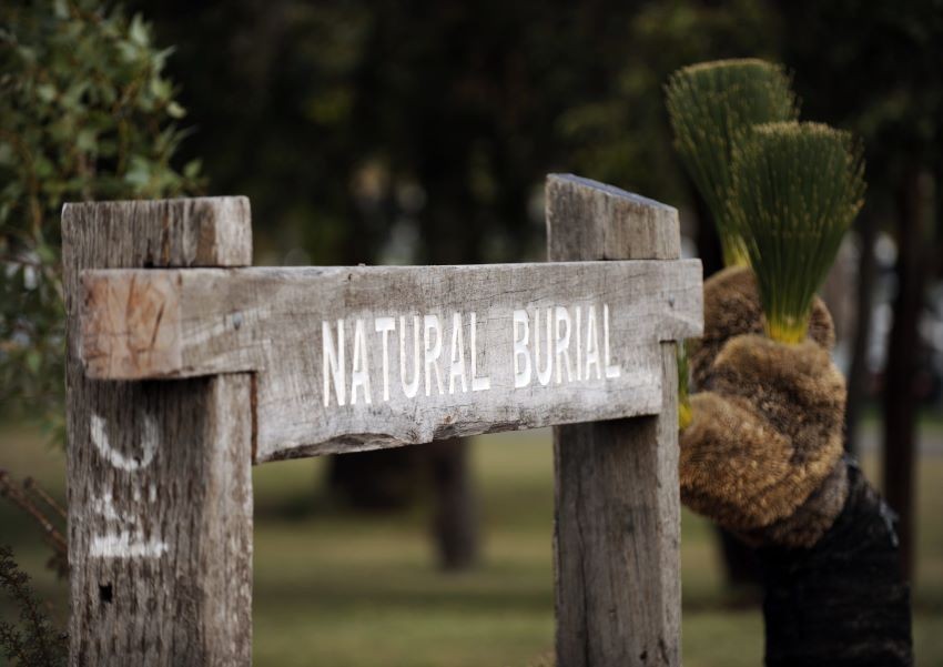 the wooden natural burial sign bordering the natural burial area at Fremantle Cemetery