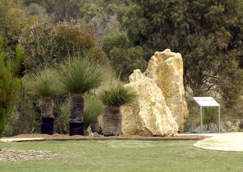 Family memorial trees at Rockingham Regional Memorial Park